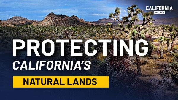 California’s Land, Water, and Fire: What’s Really Driving the Decisions