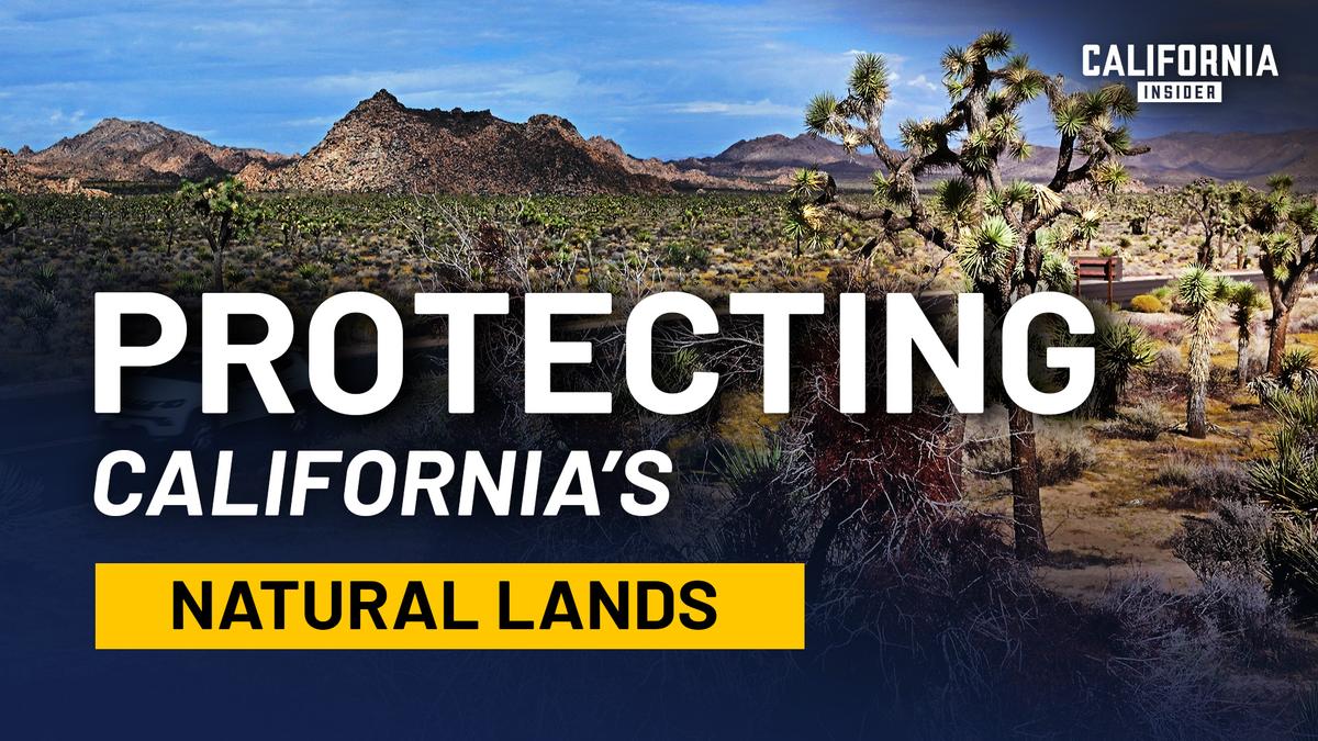 California’s Land, Water, and Fire: What’s Really Driving the Decisions thumbnail