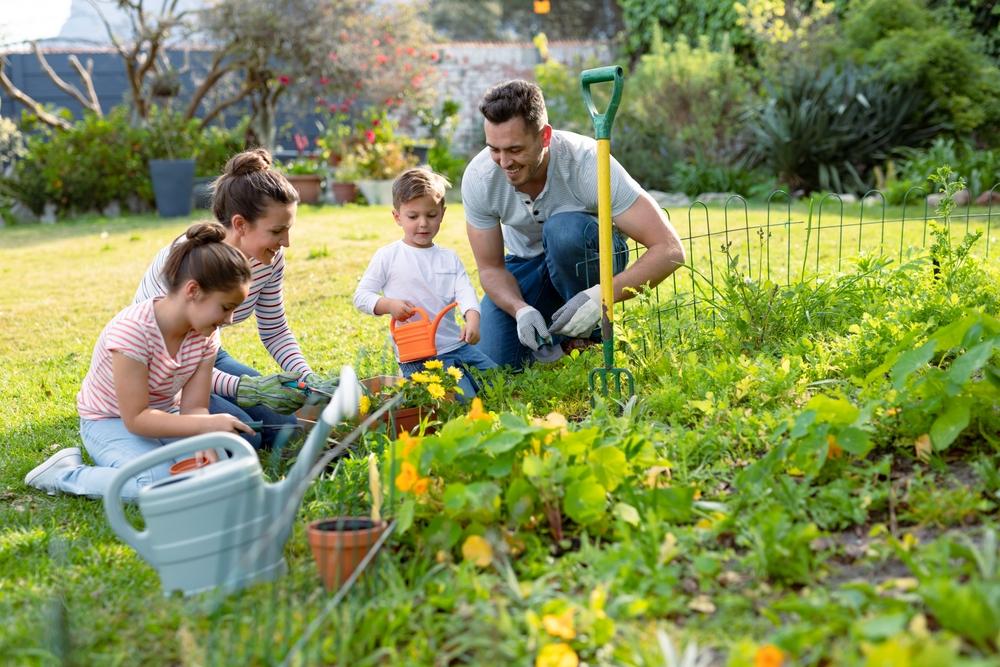 Garden Yourself Happy': The Joy of Planting and Harvesting | The Epoch Times