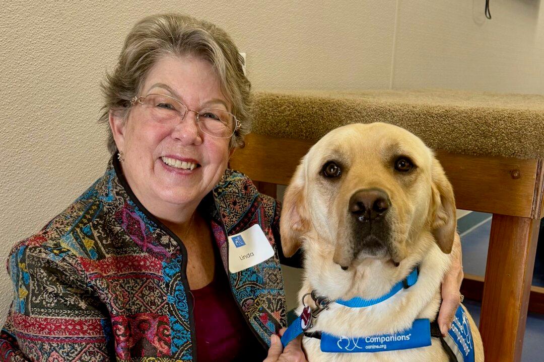 Training Service Dogs to Become Heroes to Those in Need