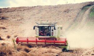 Australia’s Largest Ammonia Plant Set to Resume Within a Month After Outage