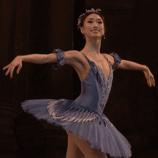 Akane Takada as Princess Florine in "Sleeping Beauty" (2017). (<a href="https://commons.wikimedia.org/w/index.php?title=User:Fiora1913&action=edit&redlink=1">Fiora1913</a>/<a href="https://en.wikipedia.org/wiki/Akane_Takada#/media/File:Takada_00.png">CC BY-SA 4.0</a>)
