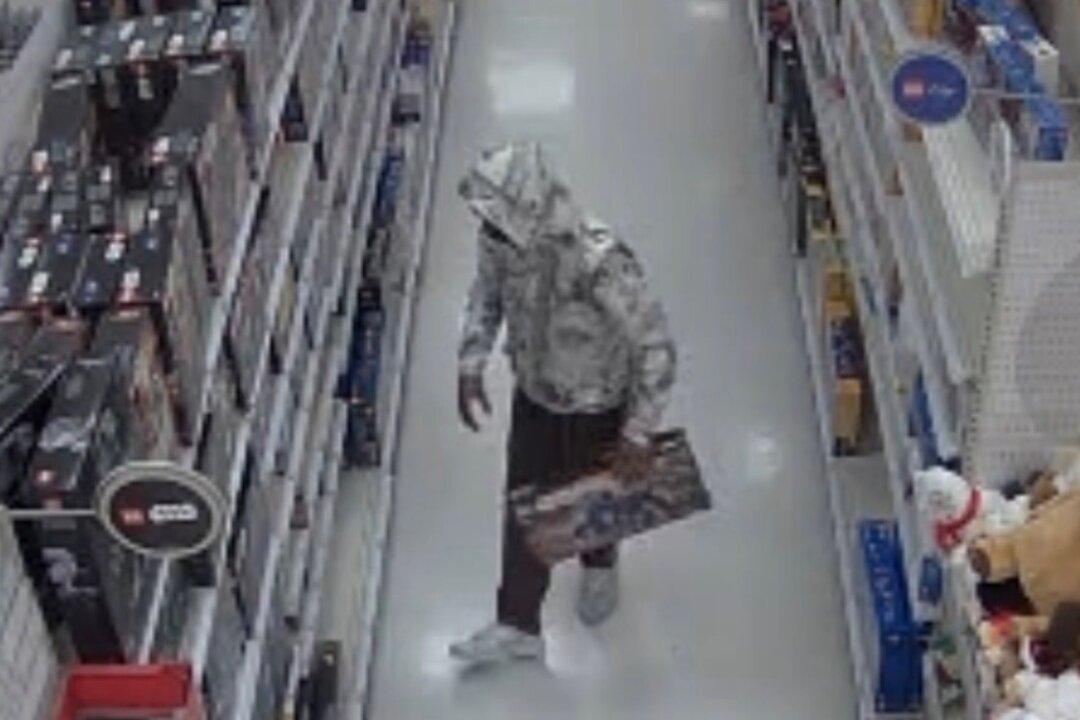 Man Suspected of Stealing Legos from 70 Targets Nationwide Arrested in California