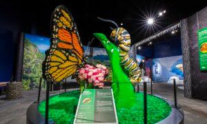 A LEGO Exhibit of 1.5M Bricks Visits U.S. Museums