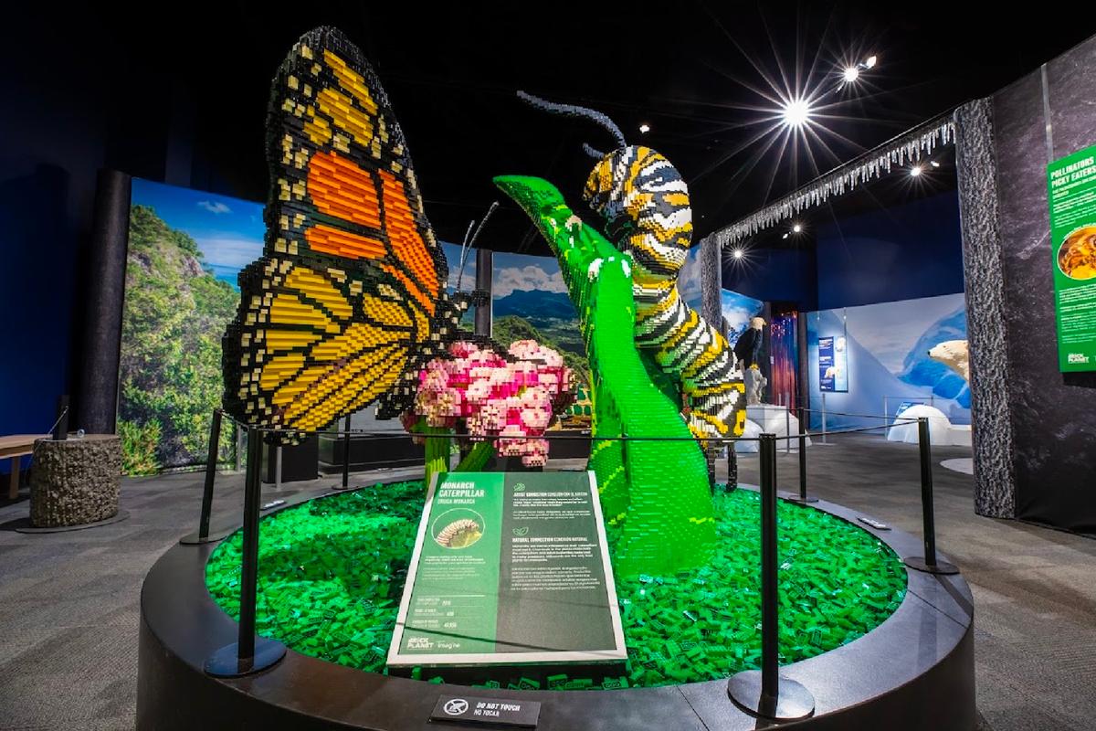 A LEGO Exhibit of 1.5M Bricks Visits U.S. Museums