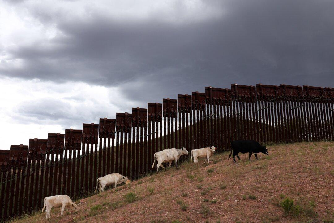USDA, US Army Break Ground on Texas Facility to Combat Flesh-Eating Parasite Spread