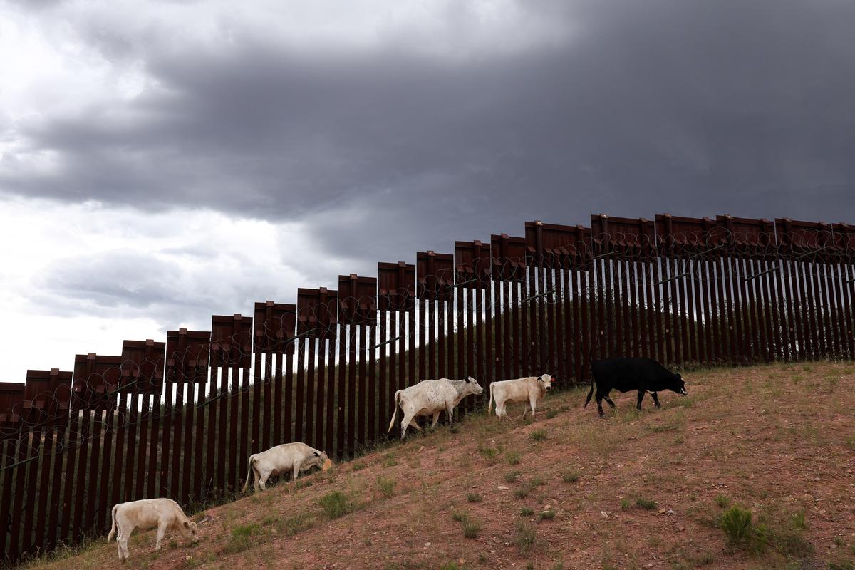 USDA, US Army Break Ground on Texas Facility to Combat Flesh-Eating Parasite Spread