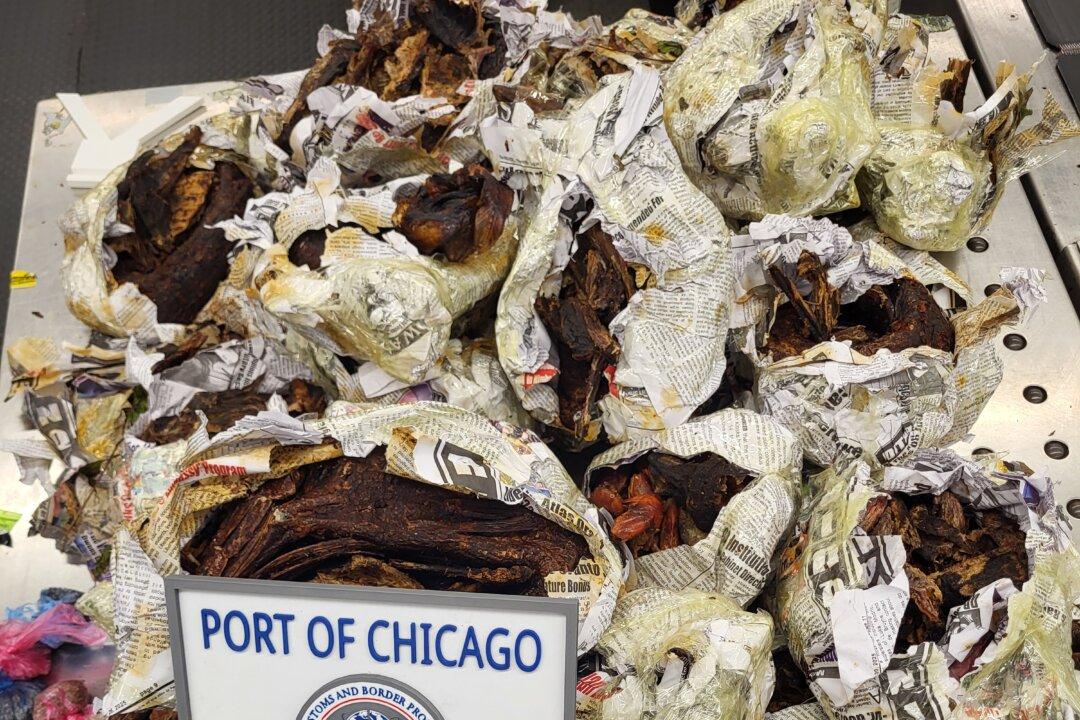 CBP Seizes Monkey Carcass, 125 Pounds of Prohibited Meat at Chicago Airport