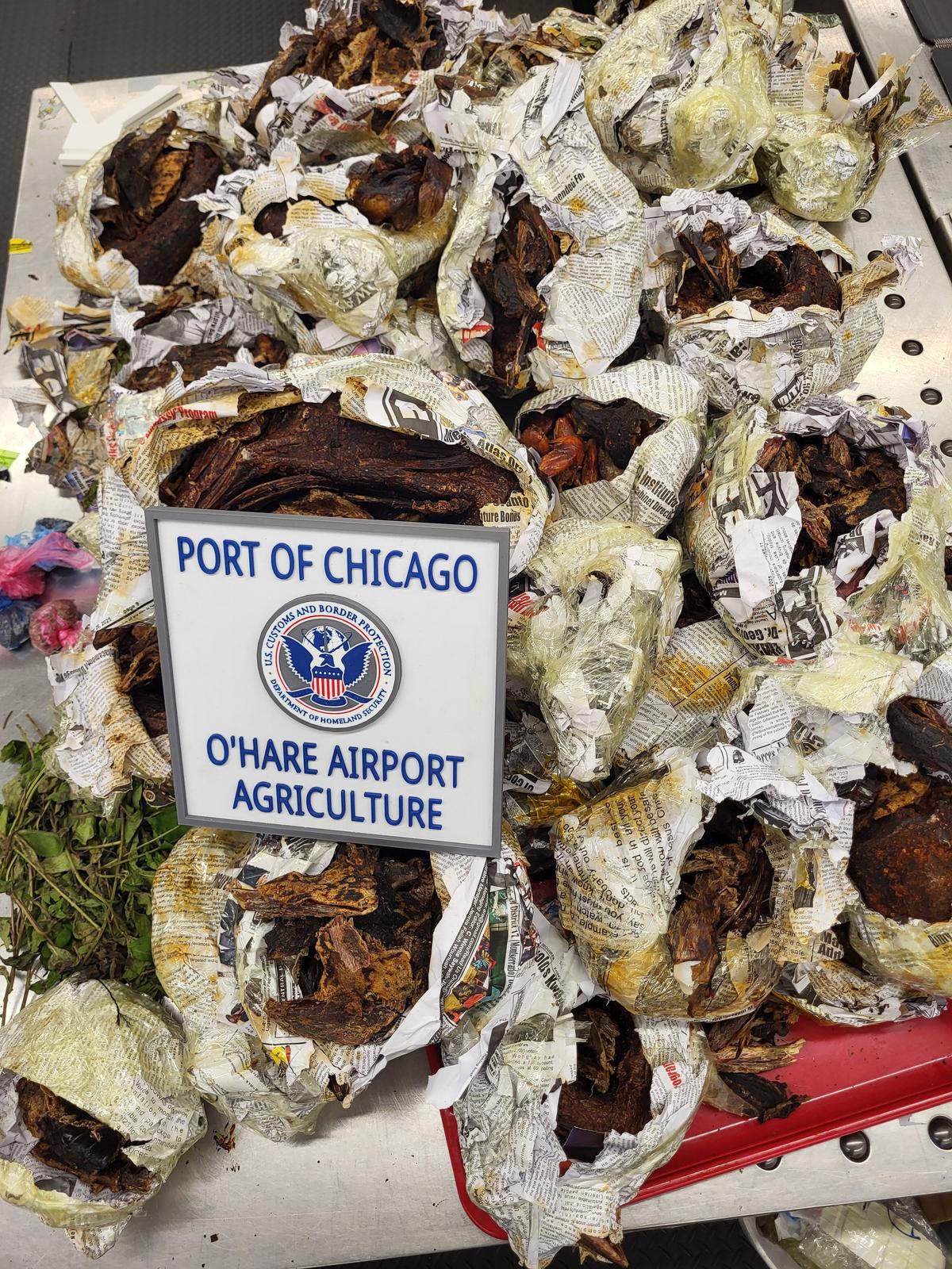 CBP Seizes Monkey Carcass, 125 Pounds of Prohibited Meat at Chicago Airport
