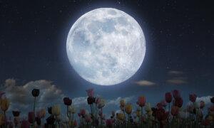 Two Full Moons Will Occur in May, Including a Rare ‘Blue’ Micromoon—What You Need to Know