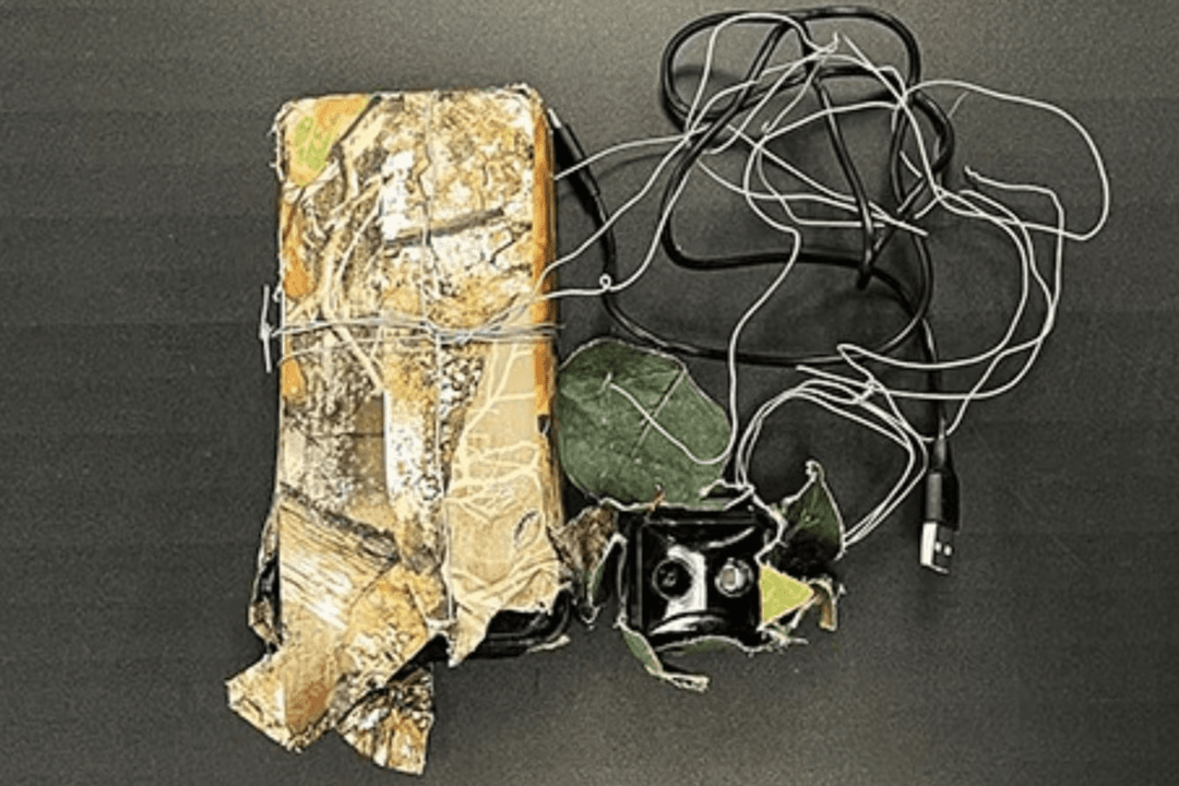 Camera Found in Southern Ontario Town Used to Scout Homes for Break-Ins: Police