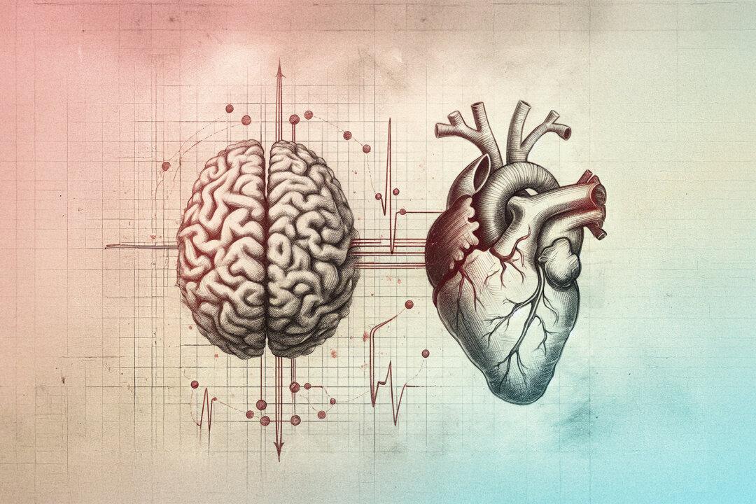 The Physiological Mechanism That Aids in Decision-Making Under Pressure