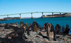 Some Americans Dig for Canadian Roots as Citizenship Rules Ease