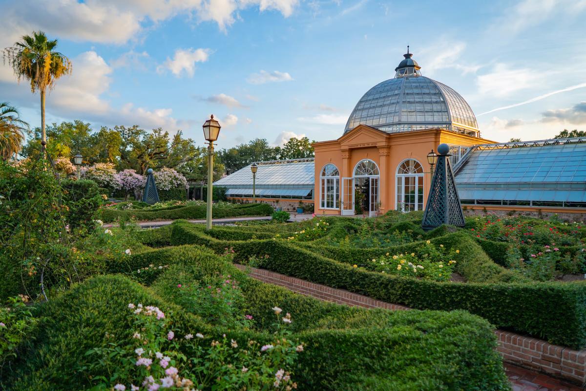 Originally built in the 1930s, the conservatory is defined by its dramatic 40-foot glass dome, which floods the atrium below with natural light. Severely damaged by Hurricane Katrina, it was carefully renovated to showcase plant collections in each wing. Current exhibitions include Living Fossils and the Tropical Rainforest. (City Park Conservancy)