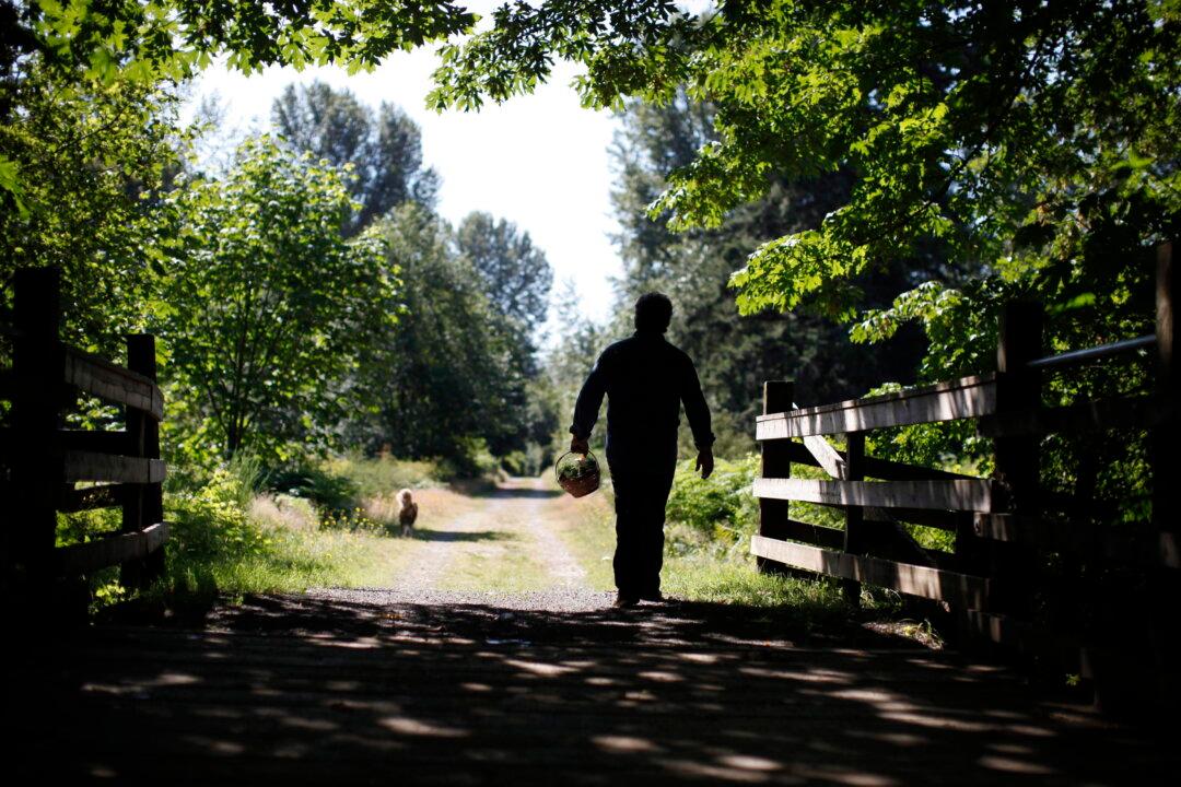 Cowichan Valley Land-Use Backlash Highlights Tension Between Global Goals and Local Concerns