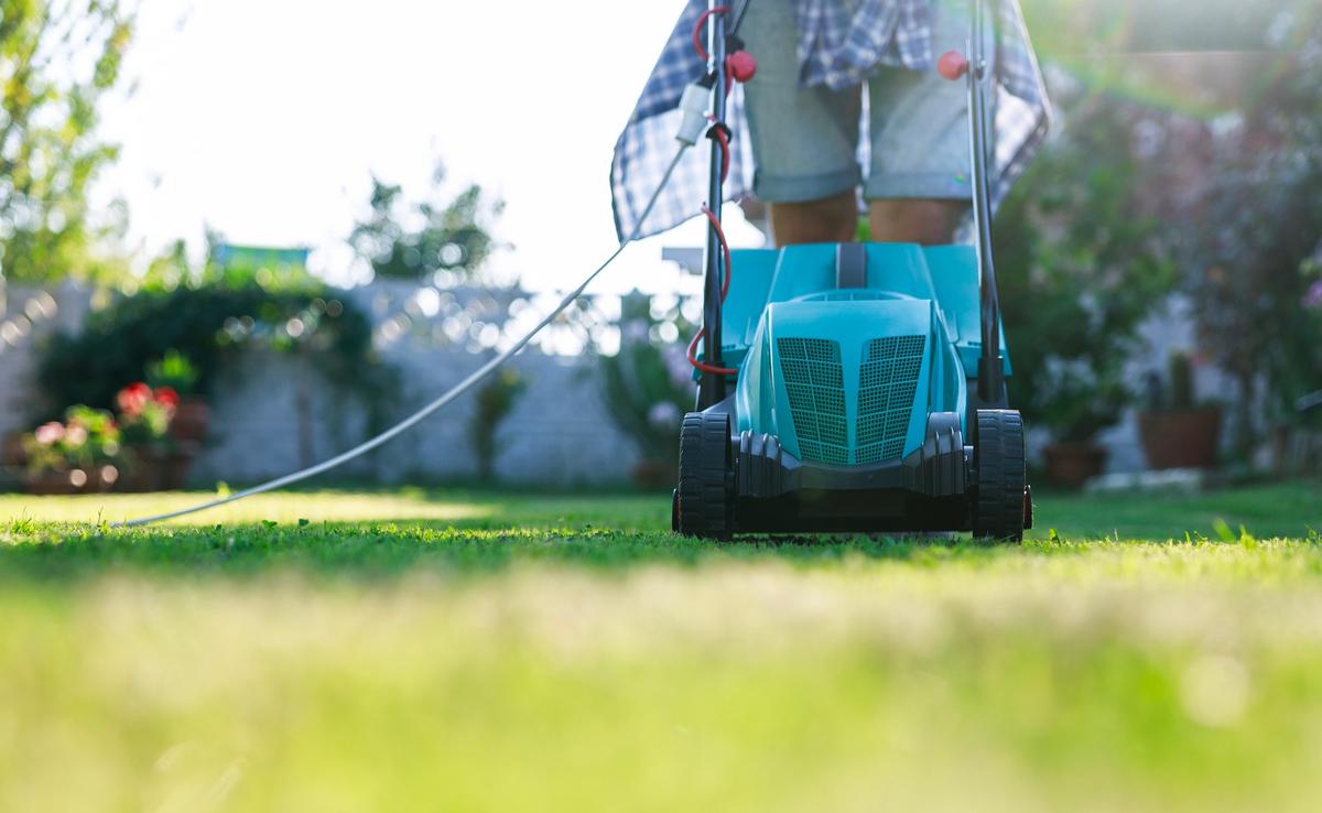 Proper Lawn Mowing Height