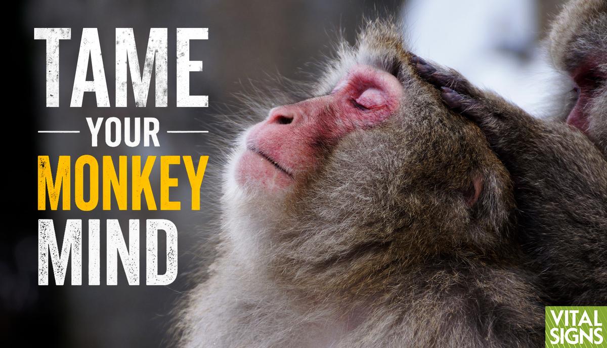 Mindfulness: Why Your Mind Runs Wild—First Steps to Taking Control thumbnail