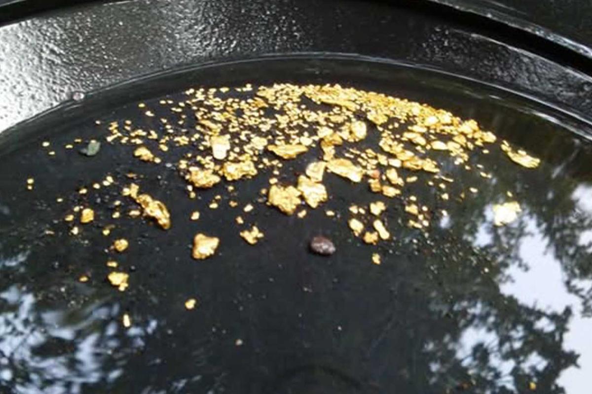 Gold flakes in Denig's pan. (Courtesy of Justin Denig)