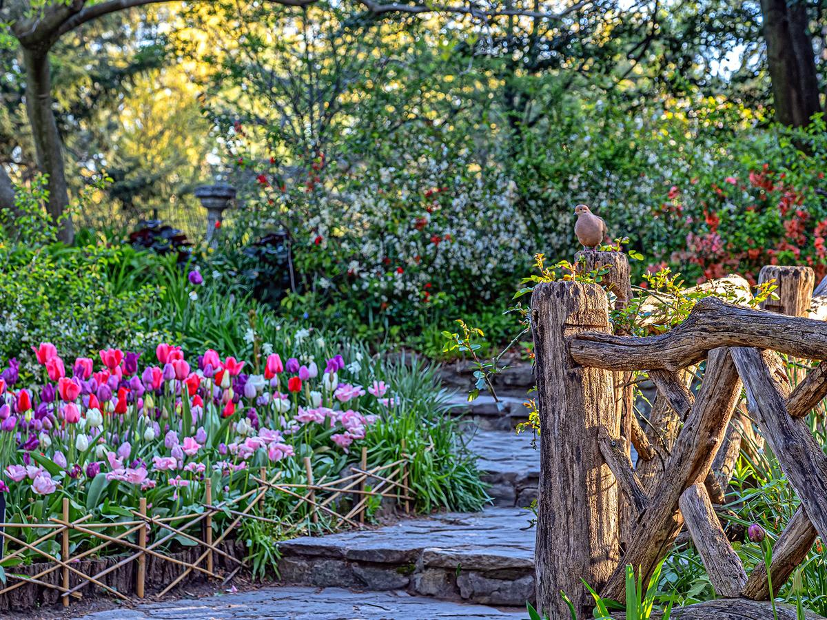 Shakespeare Gardens Bring the Poet’s Language to Life