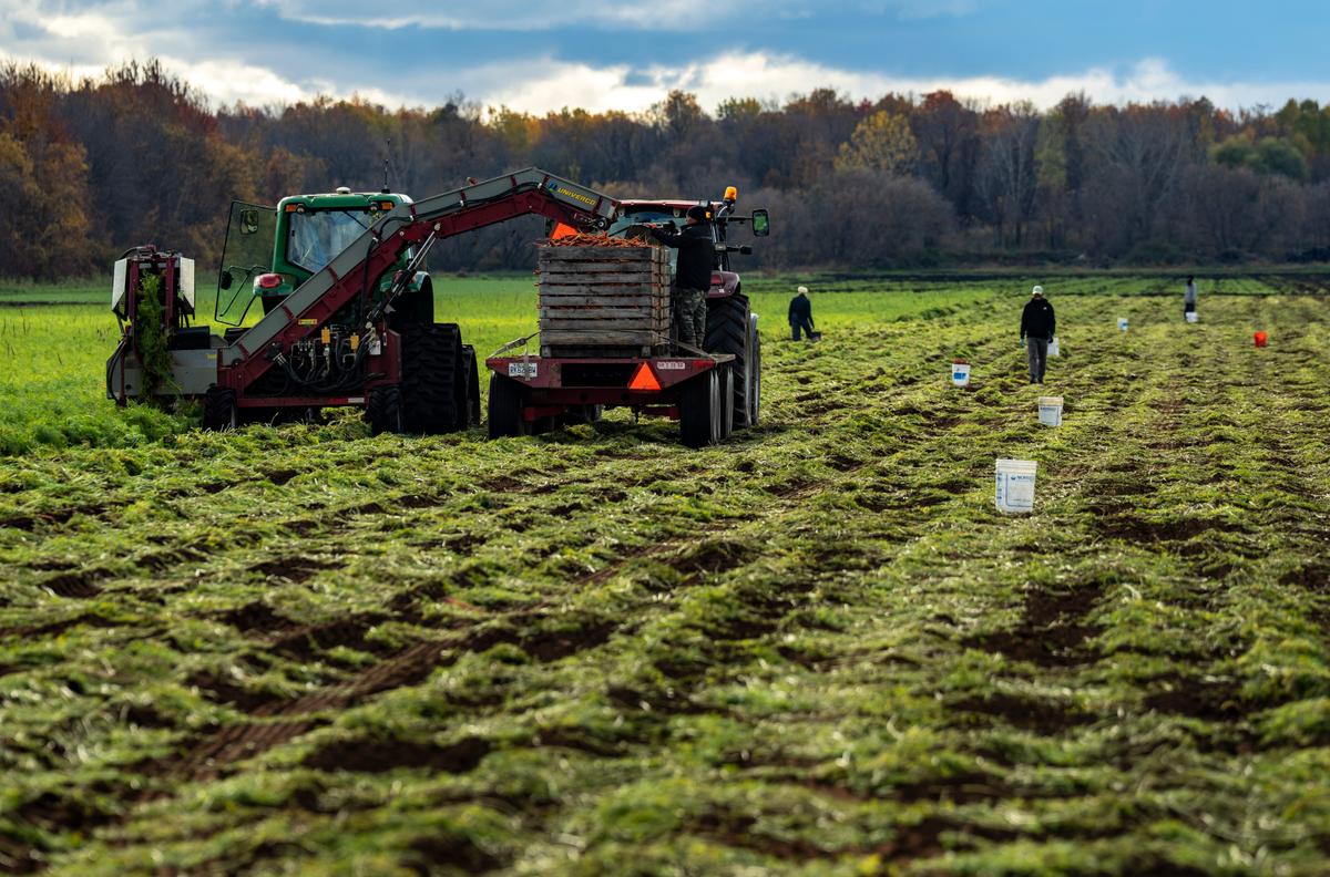 Canada’s Food System Is Under Strain—What Farmers Are Saying Should Concern Us All