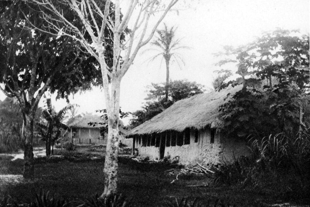 ‘Heart of Darkness’: Civilization Over the Horror of Barbarism