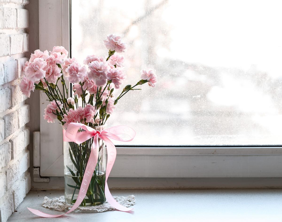 Carnations, the official flower of Mother's Day, symbolize mothers' enduring love for their children. (Tema_kud/Getty Images)