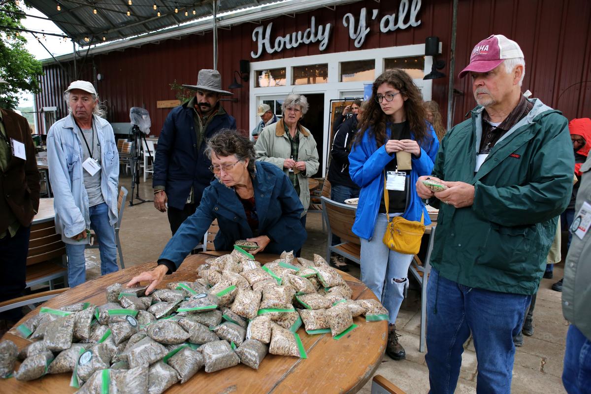 RFK Jr. Wants to Expand Regenerative Agriculture Pilot Program