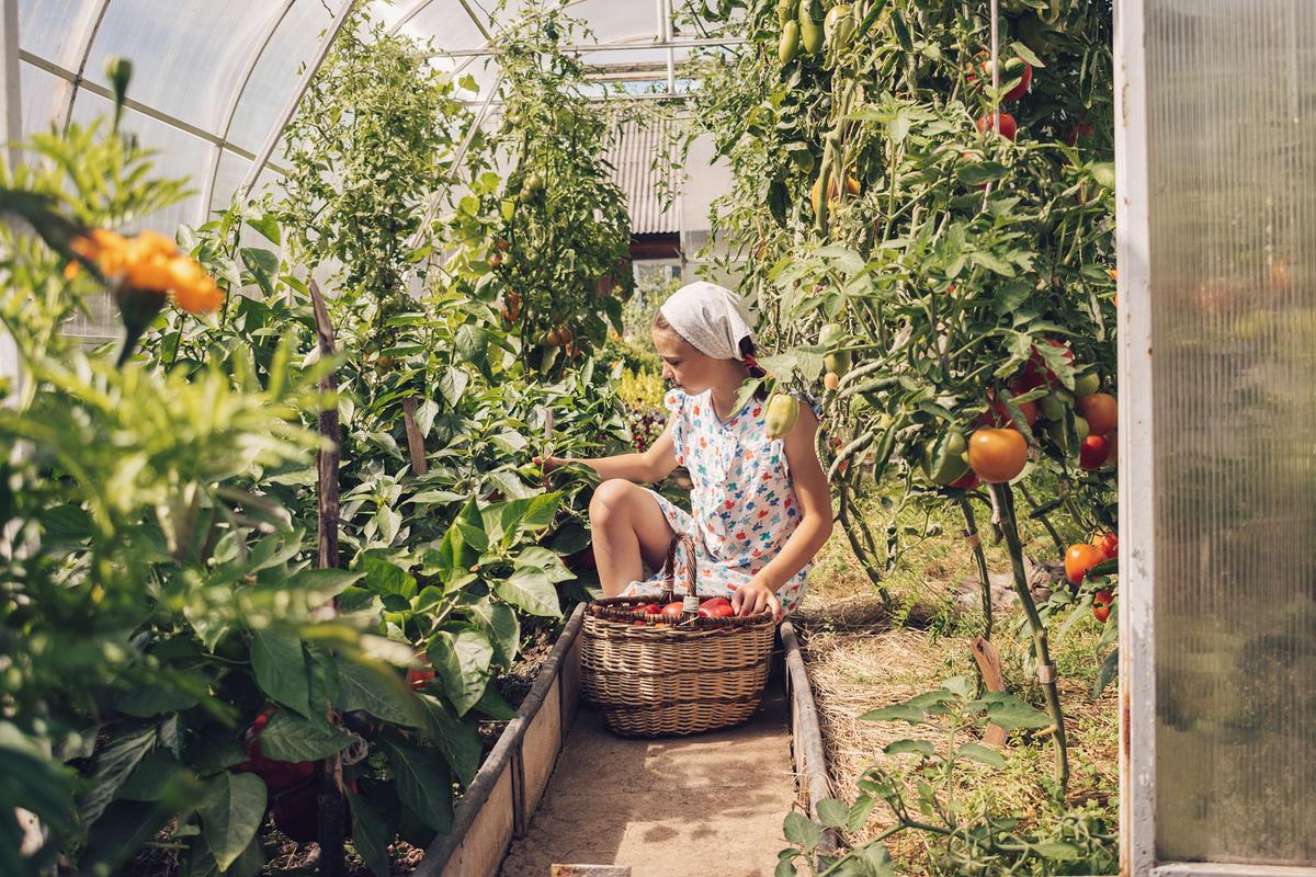The 10 Laws of Gardening