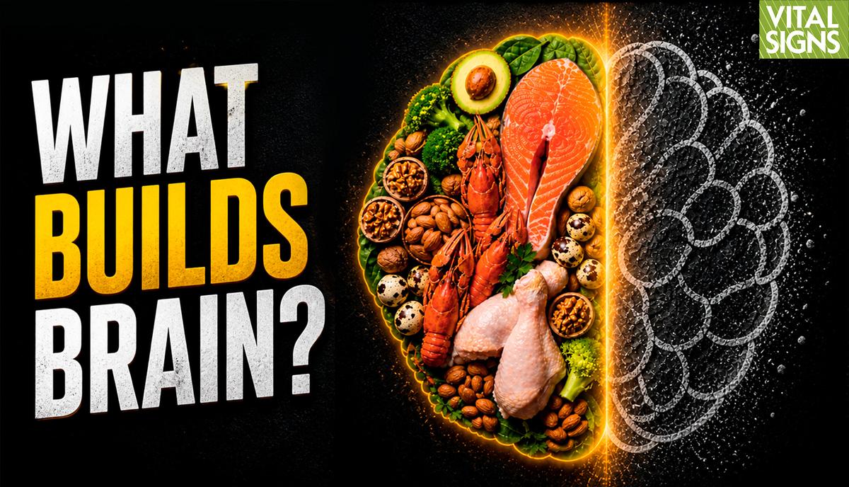 Which Protein, Fats for Brain Health? What’s Missing From the New Food Pyramid? | David Perlmutter MD thumbnail