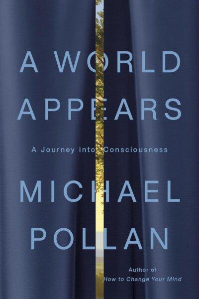 The author asks questions about where our thinking comes from.