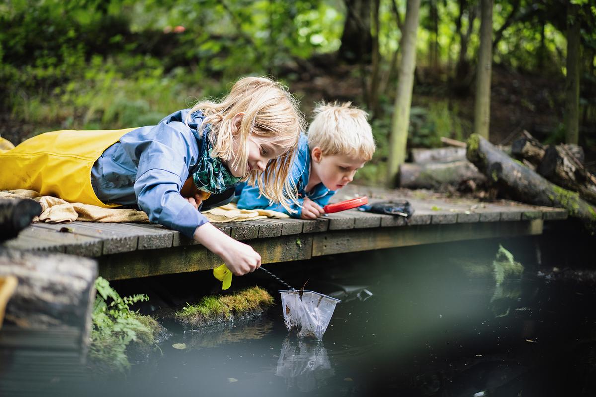 Sensory experiences in nature, such as touching grass or water, foster curiosity and cognitive development. (Sarah Mason/Getty Images)