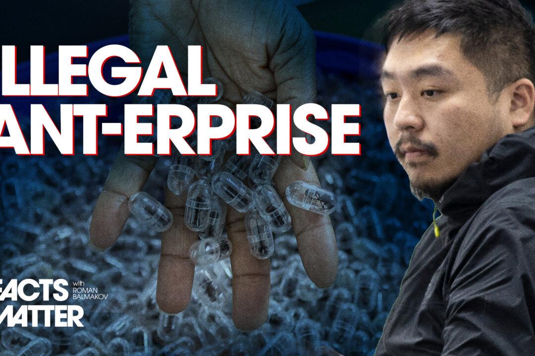 Chinese Man Arrested, Sentenced to Prison for Trying to Smuggle 2,200 Ants Out of Kenya