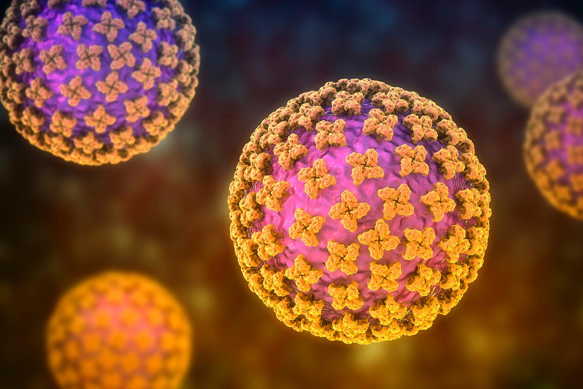 Hantavirus: A Rare yet Deadly Virus Strikes Cruise Ship, and What to Watch out For
