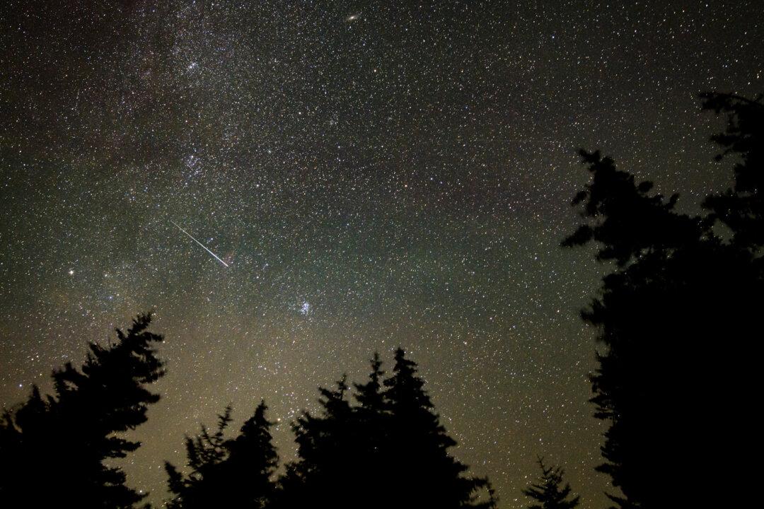 (Left) A meteor streaks across the sky during the annual Perseid meteor shower in Spruce Knob, W. Va., on Aug. 11, 2021. (Right) A fireball event observed in Black River Falls, Wis., on Jan. 24, 2026. (Bill Ingalls/NASA, Justin J. via www.amsmeteors.org)
