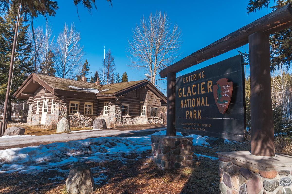 Hiker May Be First to Be Killed by Bear in Nearly 30 Years at Glacier National Park