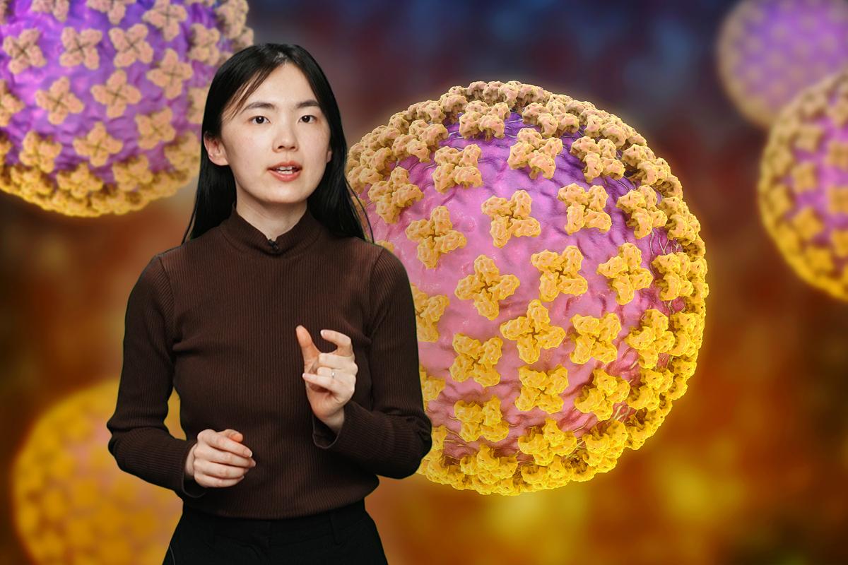 What Is Hantavirus and How Dangerous Is It? thumbnail