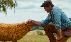 ‘The Sheep Detectives’: Movie Lightning Struck Twice on May 8, 2026