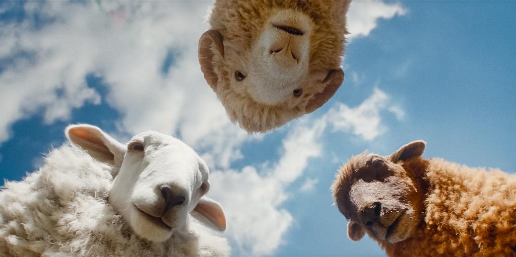 ‘The Sheep Detectives’: Movie Lightning Struck Twice on May 8, 2026