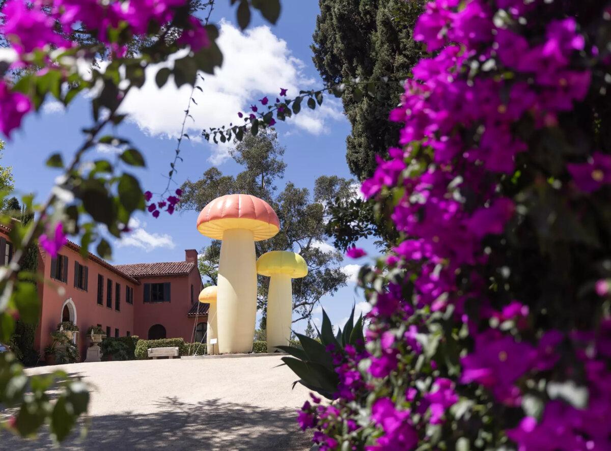 Inflatable mushrooms pop in the motor court at Noma LA. (Myung J. Chun/Los Angeles Times/TNS)
