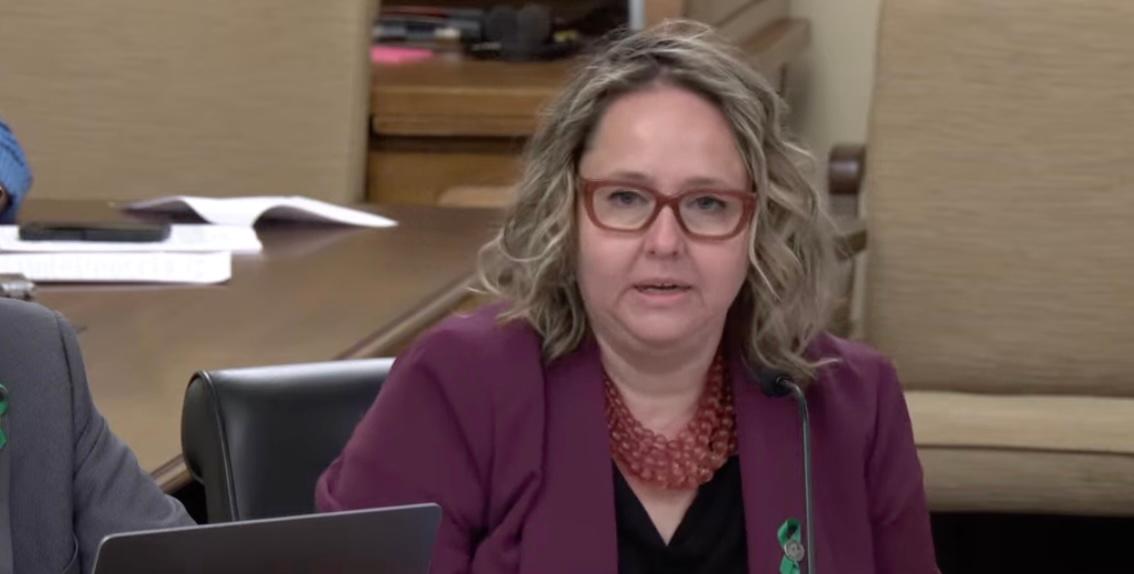 State Rep. Emma Greenman speaks during a meeting of the Fraud Prevention and State Agency Oversight Policy Committee in the Capitol in St. Paul, Minn., on May 13, 2026. (Livestream from the Minnesota House of Representatives/Screenshot via The Epoch Times)