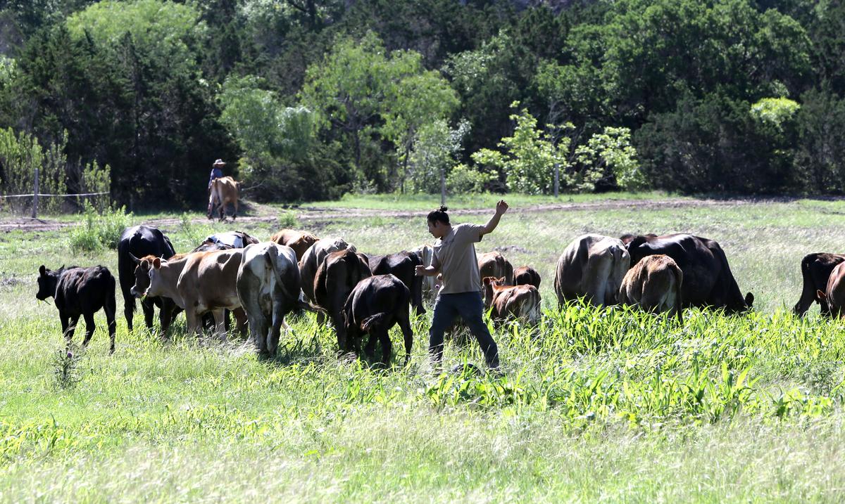 Inside the Farming Movement to Detox America