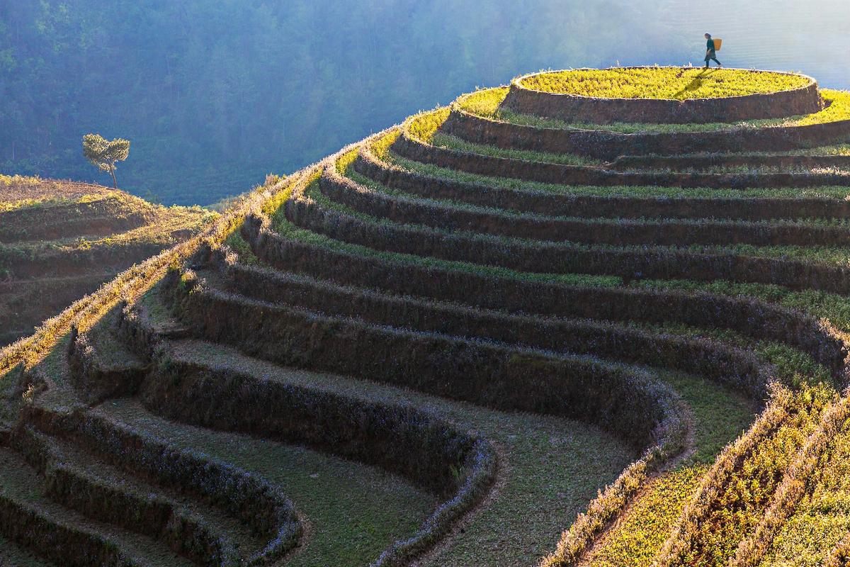 Taking the Kids: A Unique Vietnam Adventure