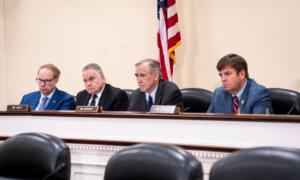 ‘Perverted’ Forced Organ Harvesting Gets Spotlight in Congress