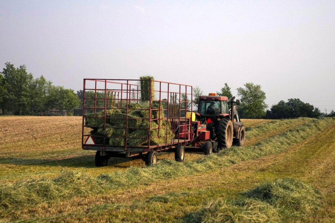 Is Sustainability Policy Sustainable for the Family Farm?