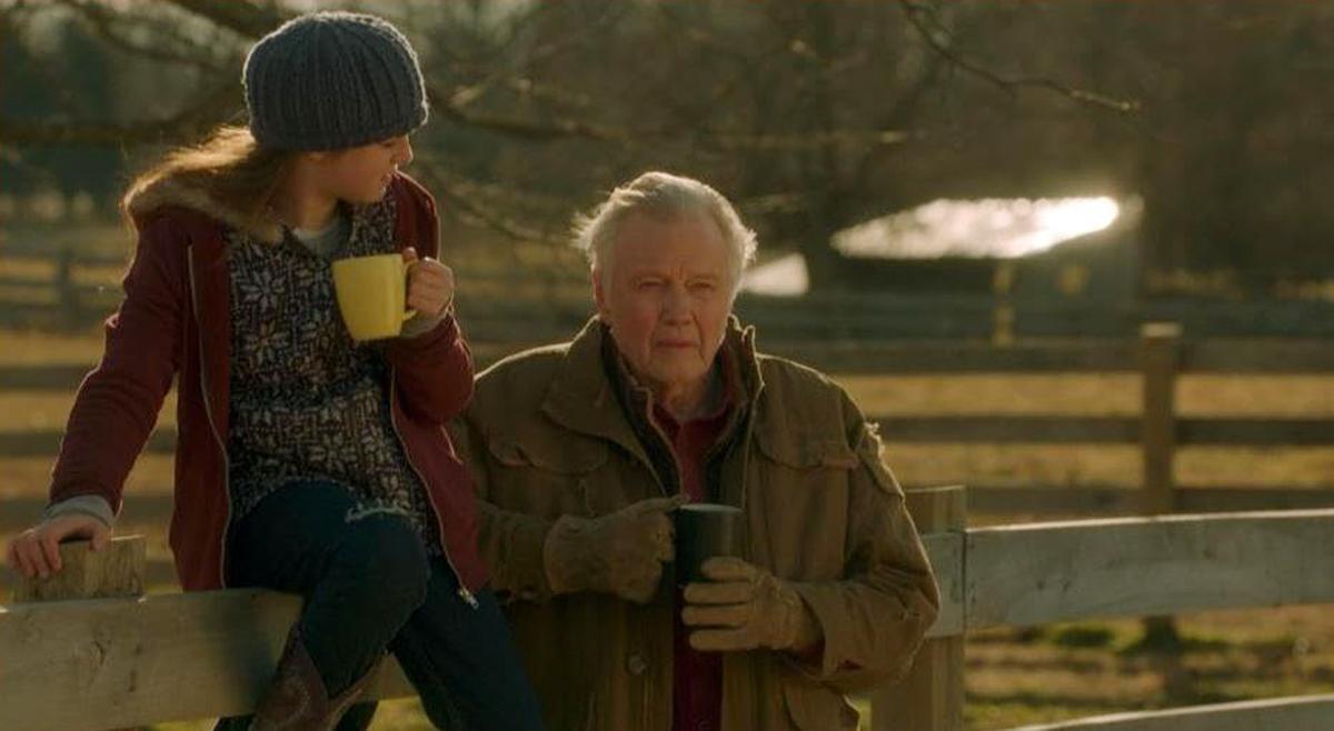 ‘Orphan Horse’: The Runaway, the Horse, and the Rancher
