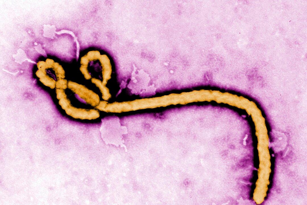 US Issues Travel Advisories Over Ebola Outbreak in Congo
