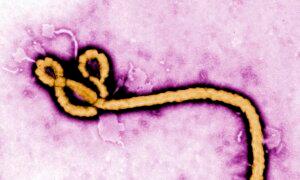Ontario Resident Who Returned From East Africa Tests Negative for Ebola Amid New Border Measures