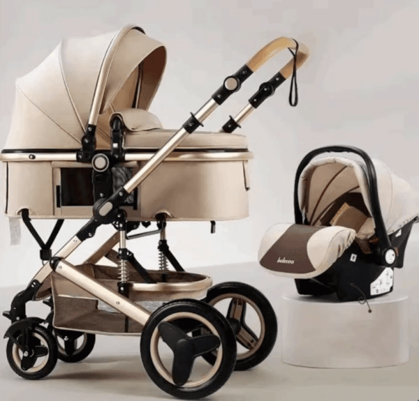 Health Canada is advising against the use of the Belecoo 3-in-1 baby stroller sold online through AliExpress. (Health Canada photo)