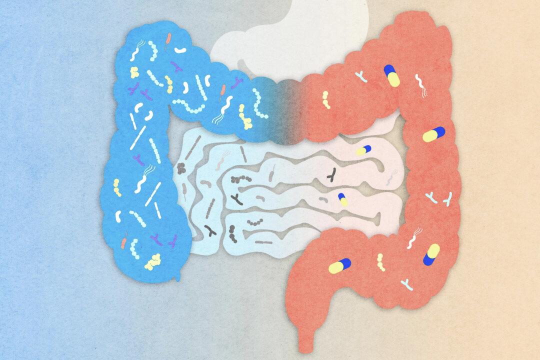 Modern Meds Changed the Gut Profile of Remote Villagers, Scientists Find