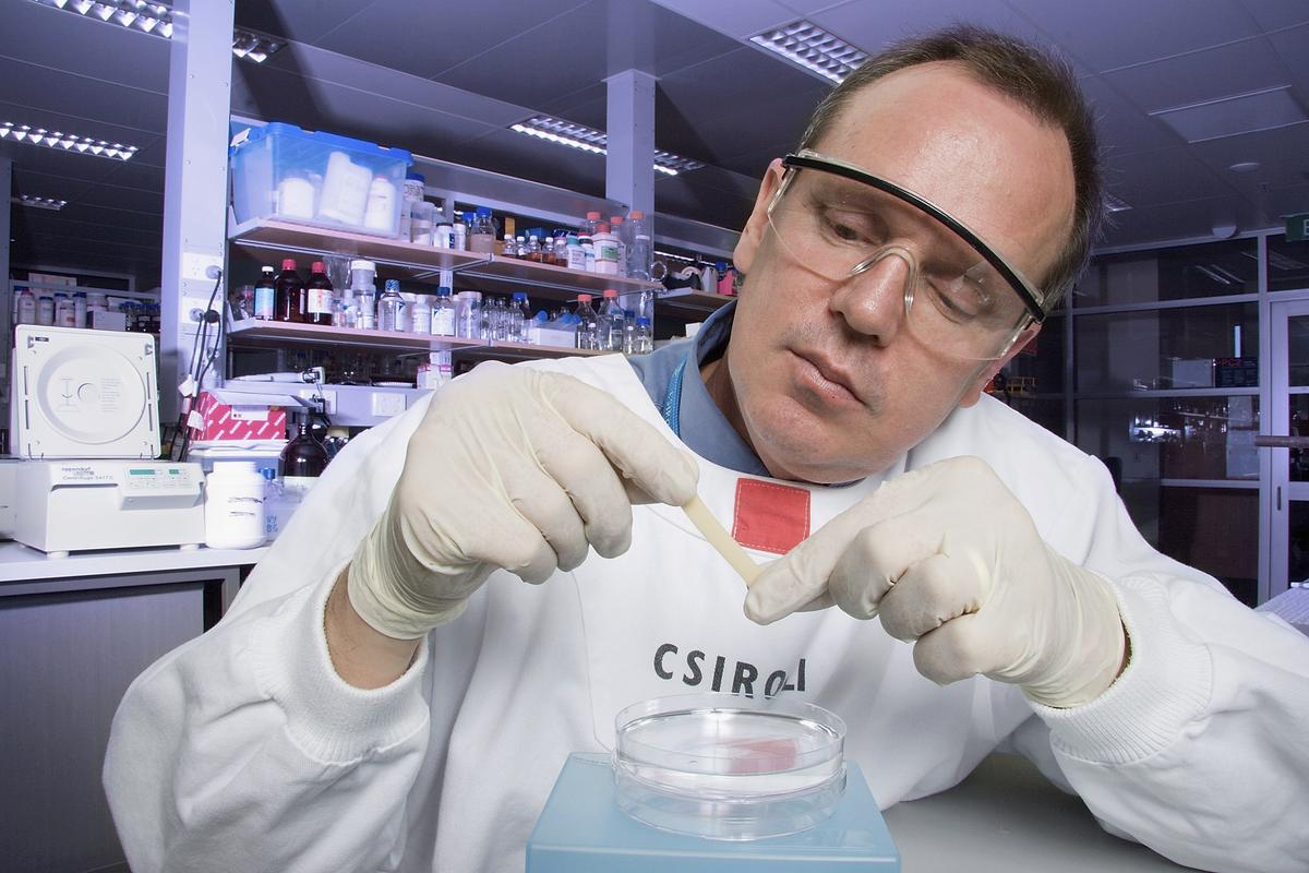 CSIRO Cuts 92 Climate and Environment Jobs Despite Multi-Million-Dollar Budget Boost